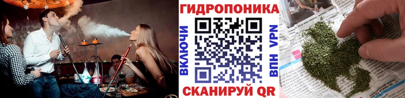 Конопля гибрид купить Балей